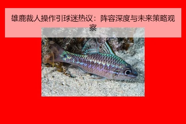 雄鹿裁人操作引球迷热议：阵容深度与未来策略观察